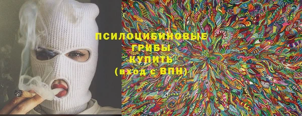 метадон Белокуриха